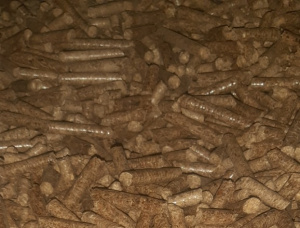 Armand Pine (Pinus Armandi) Wood pellets 8 mm x 30 mm