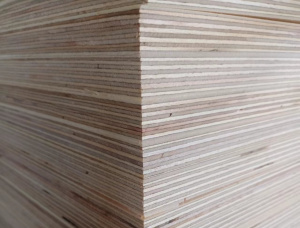 Sanded Chinese Red Birch Film faced plywood 2440 mm x 1220 mm x 18 mm