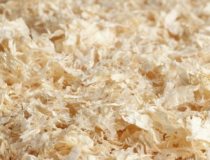 Fir Wood shavings 0.5 mm x 10 mm