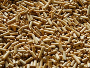 Beech Wood Pellets 6 mm x 40 mm