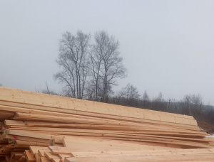 50 mm x 125 mm x 6000 mm  建築材 云杉 - 松 S4S GR