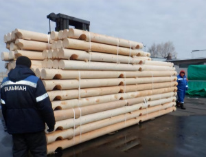 Pine Rounded beam 200 mm x 6 m