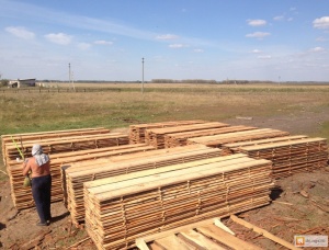 Lumber from larch