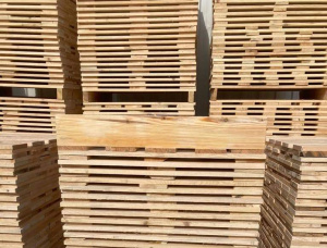 Common Black Alder Wooden Pallet 3000 mm x 200 mm x 2 mm