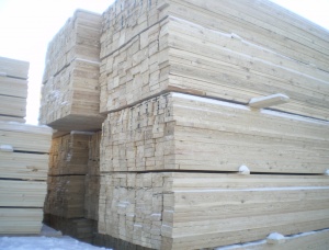 50 mm x 150 mm x 6000 mm AD R/S  Siberian Larch Lumber