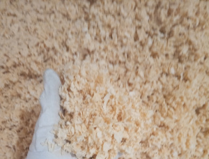 Spruce-Pine (S-P) Wood sawdust