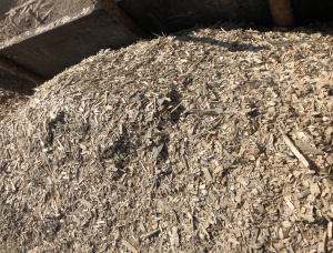 Scots Pine Wood chips