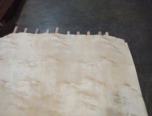 Downy Birch Rotary Cut Veneer 1600 mm x 1600 mm x 1.5 mm