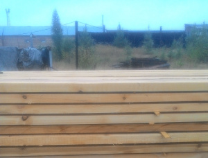 50 mm x 150 mm x 6000 mm AD R/S  Siberian Pine Lumber