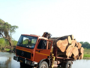 100 mm x 1000 mm x 270 mm AD S2S Pressure Treated Teak Lumber