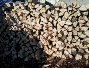 Silver Birch Kiln Dried Firewood 100 mm x 300 mm