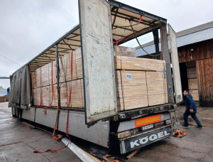 30 mm x 30 mm x 3000 mm  Lamelle Waldkiefer KD