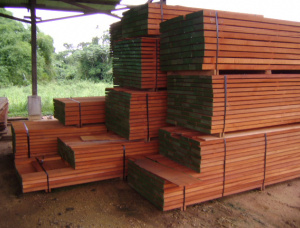 50 mm x 150 mm x 3000 mm AD S4S Pressure Treated Sapelli (Sapele, Aboudikro, Penkwa, Lifaki) Lumber