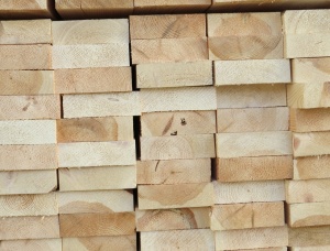 19 mm x 95 mm x 3000 mm   Waldkiefer KD