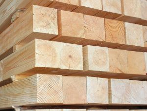 100 mm x 100 mm x 2000 mm AD  Siberian Larch Beam