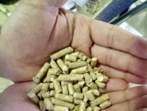 Pine Wood Pellets 6 mm x 40 mm