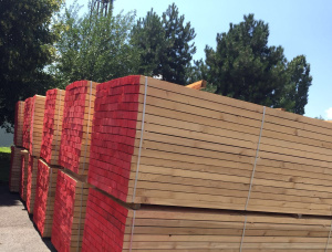 16 mm x 200 mm x 4800 mm KD R/S  Scots Pine Lumber