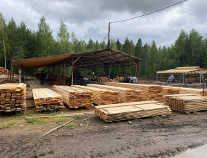 20 mm x 140 mm x 6000 mm KD S4S  Spruce-Pine (S-P) Lumber