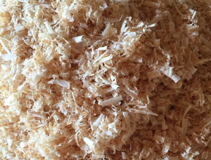 Wood shavings