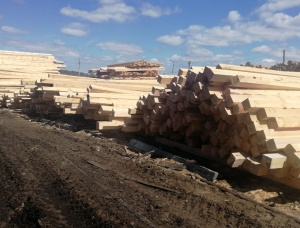 50 mm x 150 mm x 6000 mm KD S4S Heat Treated Scots Pine Lumber