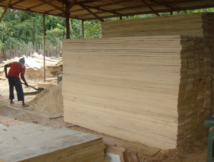 100 mm x 250 mm x 5000 mm AD S4S  African Pencil Cedar Lumber