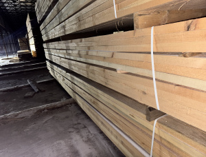 50 mm x 150 mm x 6000 mm KD  Aspen Beam