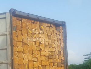 Teak Square Logs 100 mm x 150 mm x 6 m