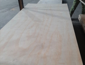 Sanded Eucalyptus Exterior Plywood 2440 mm x 1220 mm x 8 mm