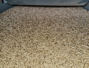 Holzpellets  Waldkiefer 6 mm x 15 mm