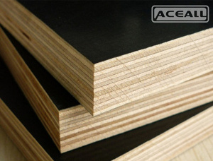 Sanded Eucalyptus Film faced plywood 2440 mm x 1220 mm x 18 mm