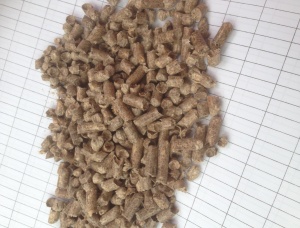 Holzpellets  Sibirische Kiefer 6 mm x 10 mm