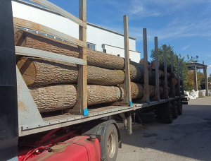 30 mm x 200 mm x 2000 mm GR S4S  Oak Lumber