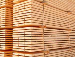 40 mm x 200 mm x 6000 mm AD R/S  Spruce-Pine (S-P) Lumber