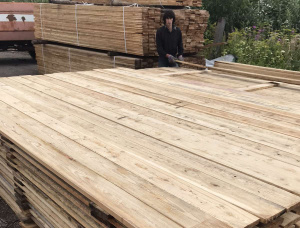 25 mm x 150 mm x 4000 mm GR R/S  Siberian Larch Lumber
