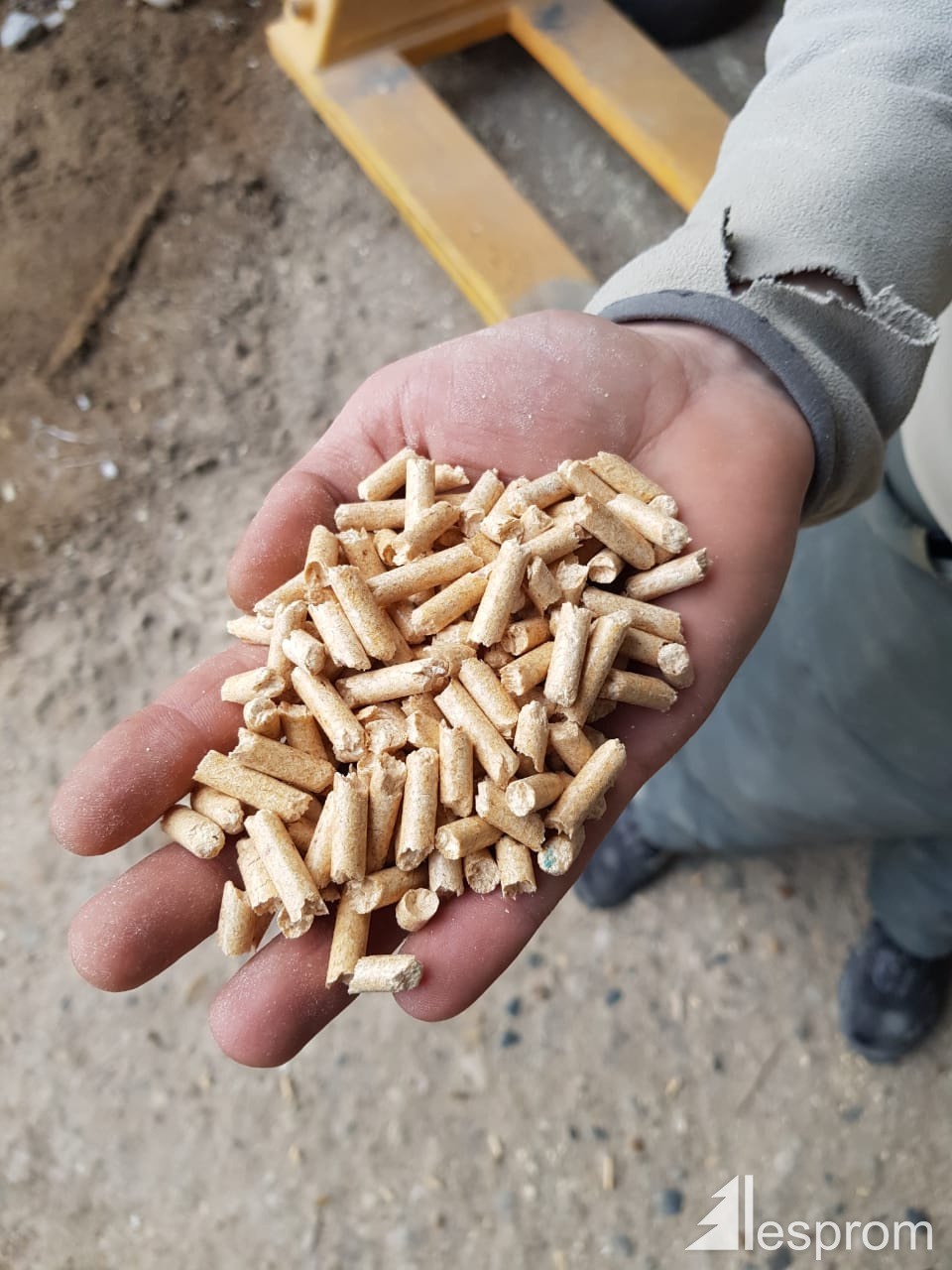 SprucePine (SP) Wood pellets 6 mm x 30 mm
