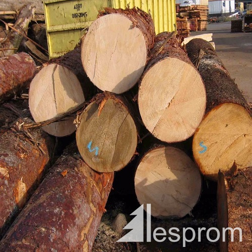 Spruce Pine Fir Spf Veneer Logs 400 Mm X 6 M