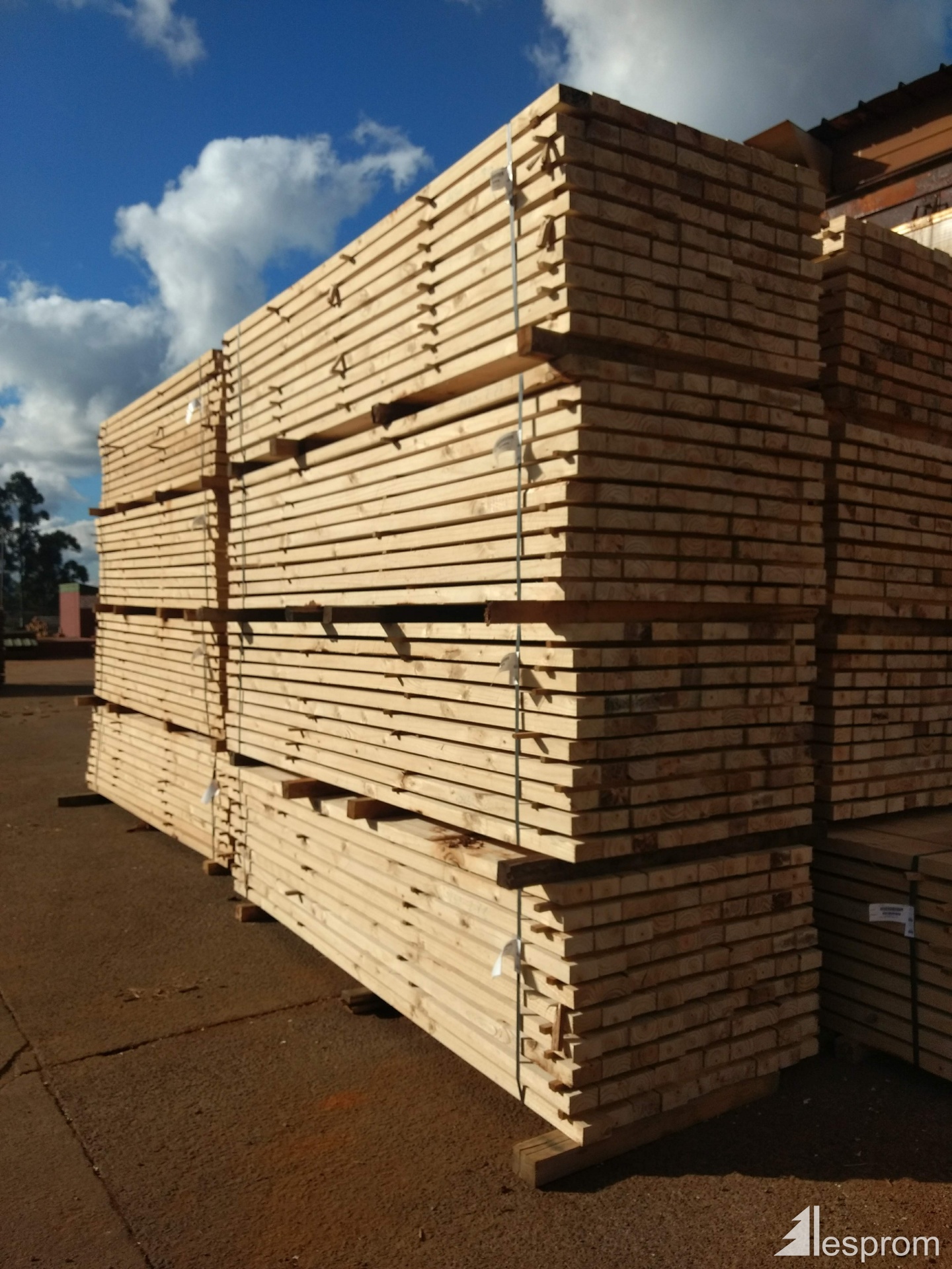 50 mm x 150 mm x 3660 mm KD R/S Taeda Pine Lumber