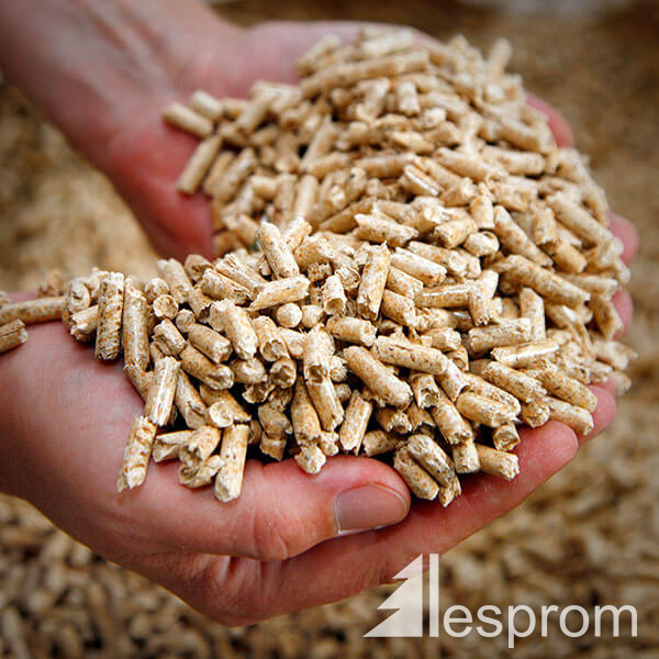 Maple Wood pellets 6 mm x 15 mm