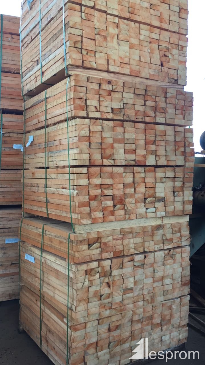 Eucalyptus Lumber AD 100 mm x 50 mm x 1000 mm Construrosa