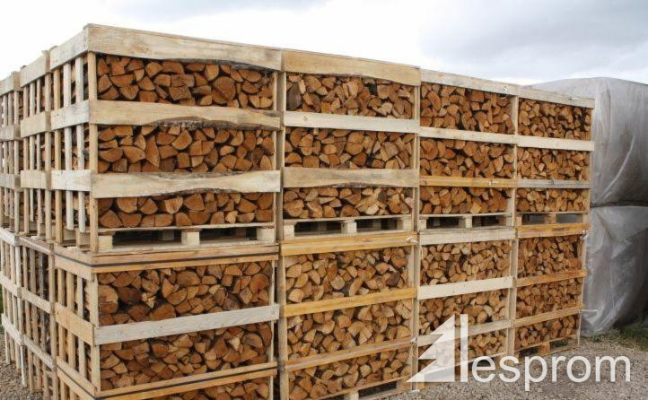 薪柴榉木300 Mm X 100 Mm