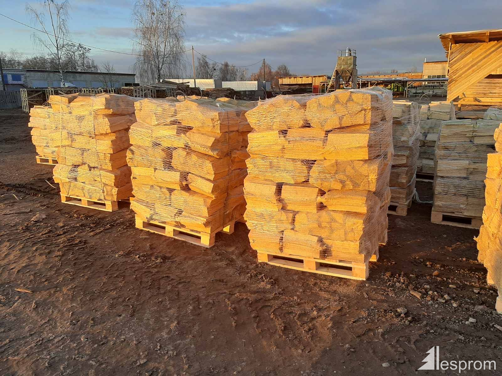 Тобольск Дрова Сухие Купить