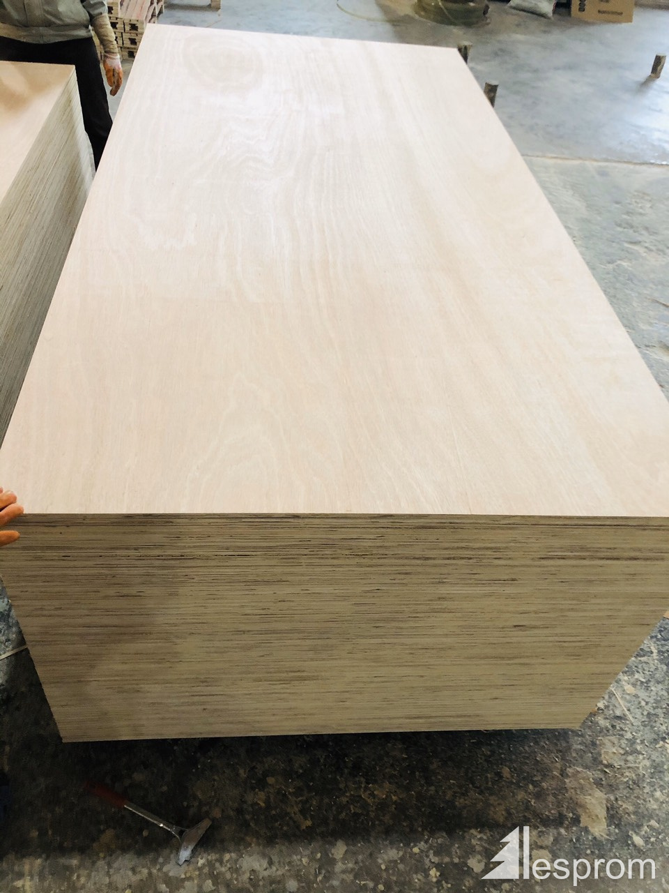 Sanded Eucalyptus Exterior Plywood 2440 mm x 1220 mm x 8 mm