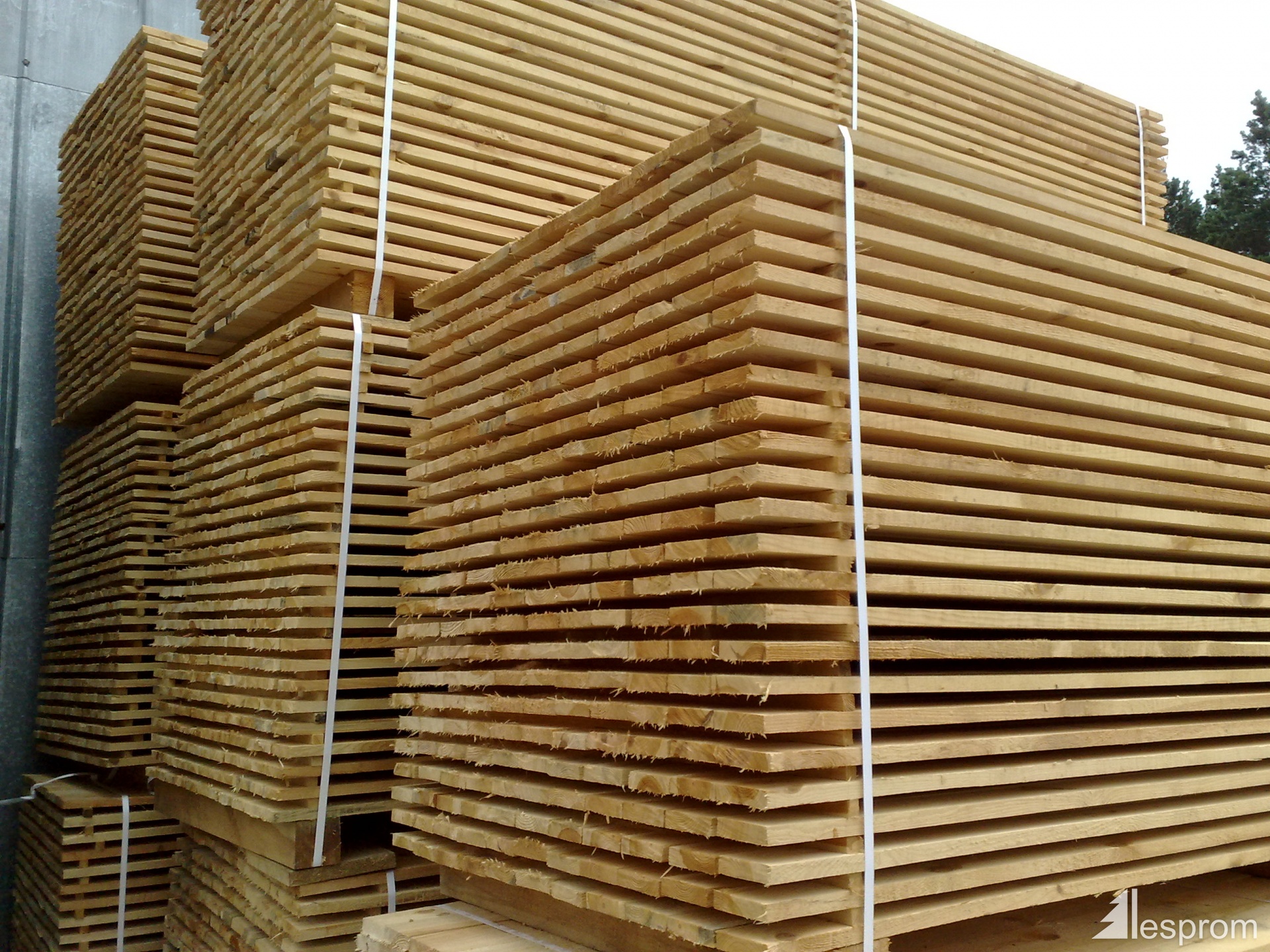 Softwood lumber
