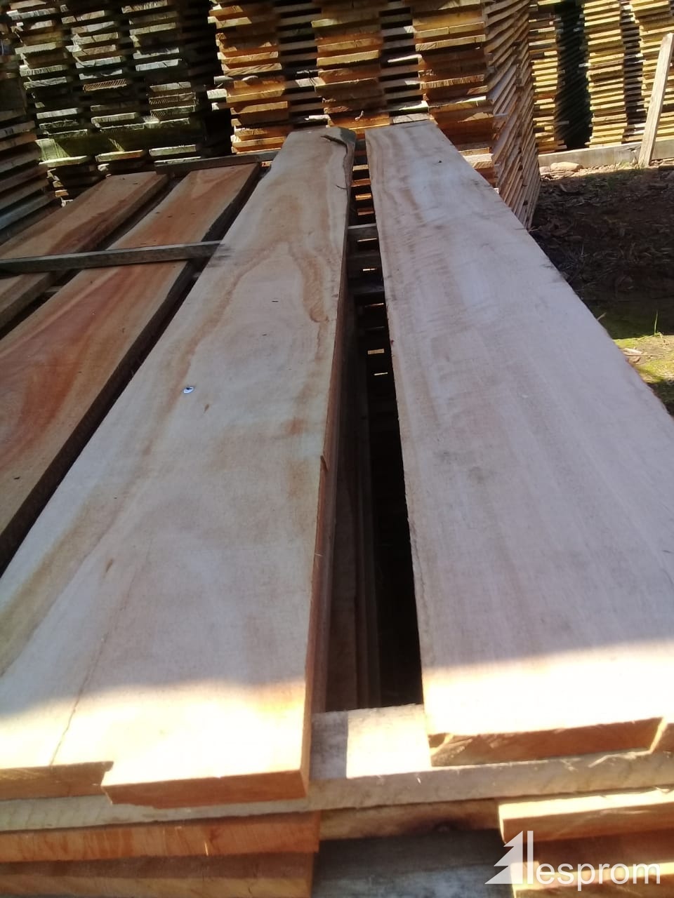 Eucalyptus Lumber AD 100 mm x 50 mm x 1000 mm