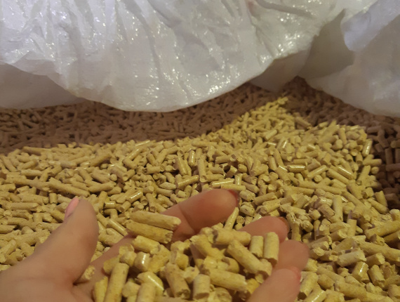 European spruce Wood pellets 6 mm x 8000 mm