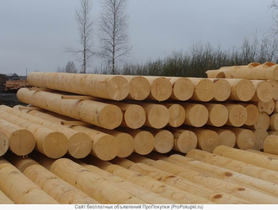 Zylindrisch rundholz Sibirische Lärche 280 mm x 4 m