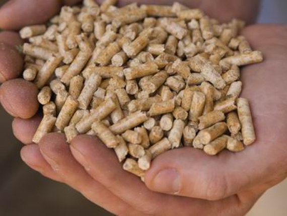 Oak Wood pellets 6 mm x 40 mm