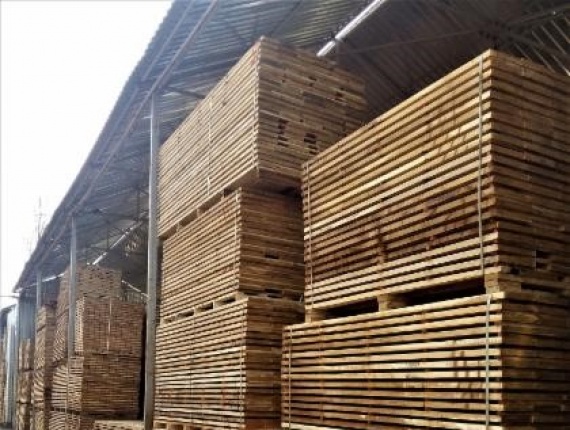 White Oak Lumber KD 27 mm x 80 mm x 300 mm