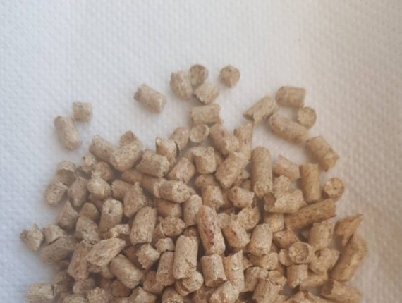 Beech Wood Pellets 6 mm x 40 mm