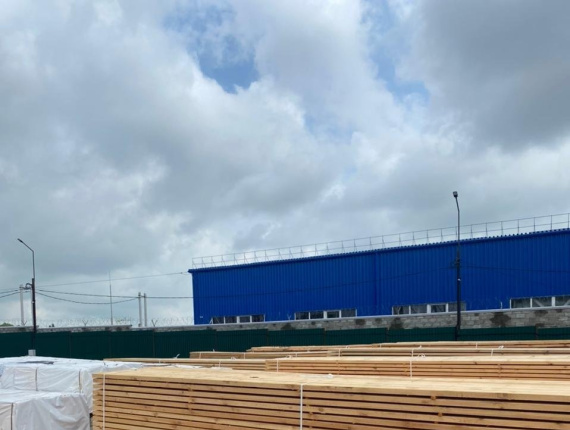 25 mm x 100 mm x 6000 mm GR S4S Siberian Pine Lumber